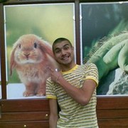 ���������� �������, ���� ������� �������, 36 ���, ������������ ��� ������, ����� � ���������, c�������� ���������