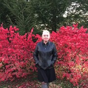 ���������� ������, ���� ������� ��������, 58 ���, ������������ ��� ����� � ���������, c�������� ���������