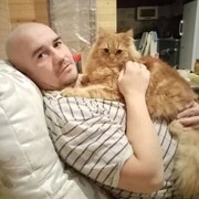 ���������� �����, ���� ������� ���, 42 ����, ������������ ��� ������, ����� � ���������