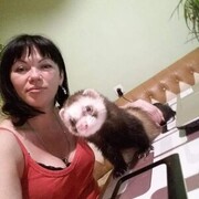 ���������� ������, ���� ������� �����, 41 ���, ������������ ��� ������, ����� � ���������, c�������� ���������