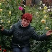  ,   , 65 ,  