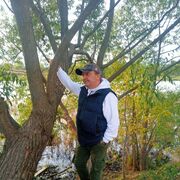 ���������� �����-���������, ���� ������� ����, 55 ���, ������������ ��� ������, ����� � ���������