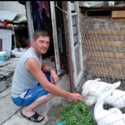 ���������� ����������, ���� ������� ������, 55 ���, ������������ ��� ������, ����� � ���������, c�������� ���������