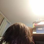 ���������� ������, ���� ����� �����, 21 ���, ������������ ��� ������, ����� � ���������