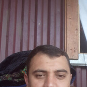 ���������� �����������, ���� ������� ����, 33 ����, ������������ ��� ������, ����� � ���������, c�������� ���������, ���������