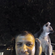 ���������� �����, ���� ������� �����, 42 ����, ������������ ��� ����� � ���������, c�������� ���������