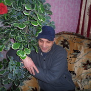  ,   , 51 ,  