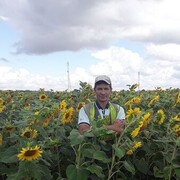  ,   , 51 ,   ,   