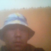  -,   BORiS, 36 ,   ,   , c 