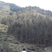 ���������� ������, ���� ������� ���������, 39 ���, ������������ ��� ������