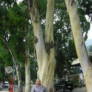 ,   , 47 ,     , c 