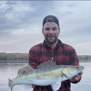 ���������� ������, ���� ������� ���������, 36 ���, ������������ ��� ������, ����� � ���������