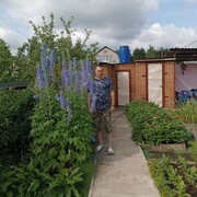 ���������� �����������, ���� ������� ����, 50 ���, ������������ ��� ������, ����� � ���������, c�������� ���������, ���������