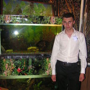  ,   , 38 ,   ,   , c , 