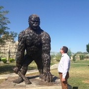  ,   Asker, 44 ,   ,   , c 