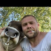 ���������� ��������, ���� ������� �������, 37 ���, ������������ ��� ����� � ���������, c�������� ���������