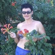  ,   E, 50 ,  