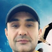 ���������� �����-���������, ���� ������� �����, 48 ���, ������������ ��� ������, ����� � ���������