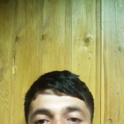  ,   Brat, 34 ,   ,   , c 