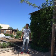 ���������� ��������, ���� ������� ������, 36 ���, ������������ ��� ������