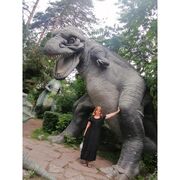 ���������� �����������, ���� ������� �������, 48 ���, ������������ 