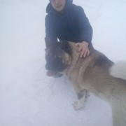 ���������� �������, ���� ������� �������, 37 ���, ������������ ��� ������, ����� � ���������, c�������� ���������