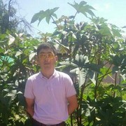 ���������� �������, ���� ������� �����, 38 ���, ������������ ��� ������, ����� � ���������, c�������� ���������