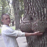 ���������� �������, ���� ������� �0688106004, 41 ���, ������������ ��� ������, ����� � ���������, c�������� ���������, ���������