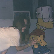 ���������� ���������, ���� ������� �����, 28 ���, ������������ ��� c�������� ���������