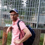 ���������� ������, ���� ������� �����, 38 ���, ������������ ��� ������, ����� � ���������