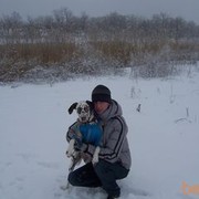   ,   , 37 ,   