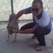 ���������� �������, ������� Dima, 34