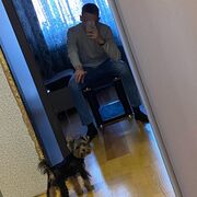 ���������� ��������, ���� ����� �����, 23 ����, ������������ ��� ������, ����� � ���������