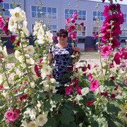  ,   , 60 ,   ,   