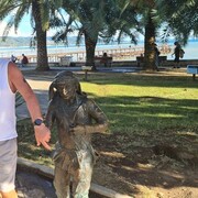 ���������� ���������, ���� ������� �������, 61 ���, ������������ ��� ������, ����� � ���������