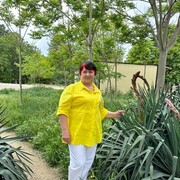  ,   , 71 ,   ,   