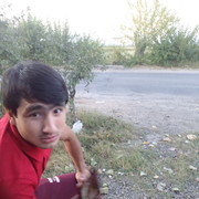  ,  Said, 31