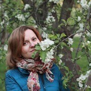 ���������� ������, �������