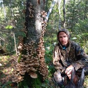 ���������� ���������, ���� ������� �������, 36 ���, ������������ ��� c�������� ���������, ���������