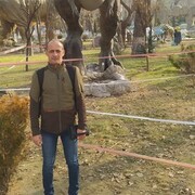 ���������� ������, ���� ������� ���, 41 ���, ������������ ��� ������, ����� � ���������