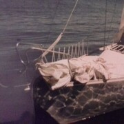 ���������� �����-���������, ���� ������� �������, 53 ����, ������������ ��� ����� � ���������, c�������� ���������