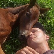 ���������� ������� ��������, ���� ������� �������, 34 ����, ������������ ��� ������, ����� � ���������, c�������� ���������, ���������