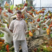  ,   , 48 ,   