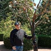 ���������� �����������, ���� ������� �������, 48 ���, ������������ ��� c�������� ���������