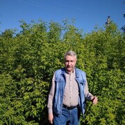  ,   , 62 ,   ,   , c 