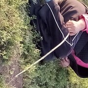 ���������� ������ ��������, ���� ������� ��������, 40 ���, ������������ ��� ������, ����� � ���������