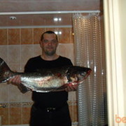 ���������� �������, ���� ������� ������, 51 ���, ������������ ��� ����� � ���������, c�������� ���������