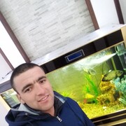  ,   Olimjon, 31 ,   ,   , c 