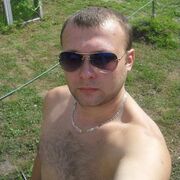 ���������� �����, ���� ������� ���������, 41 ���, ������������ ��� ������, ����� � ���������, c�������� ���������