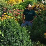 ���������� �����������, ���� ������� ����������, 56 ���, ������������ ��� ����� � ���������, c�������� ���������